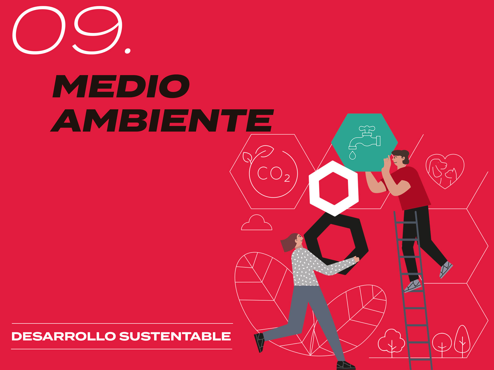 MEDIO AMBIENTE